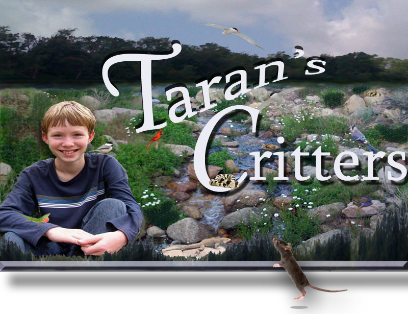 Taran's Critters
