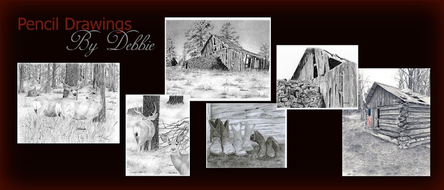Pencil Drawings By Debbie