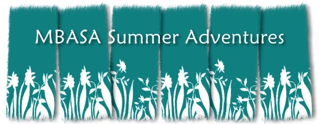 MBASA Summer 2010 Adventures!