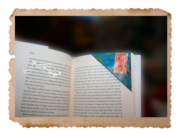 [bookmark+8b+copy.jpg]