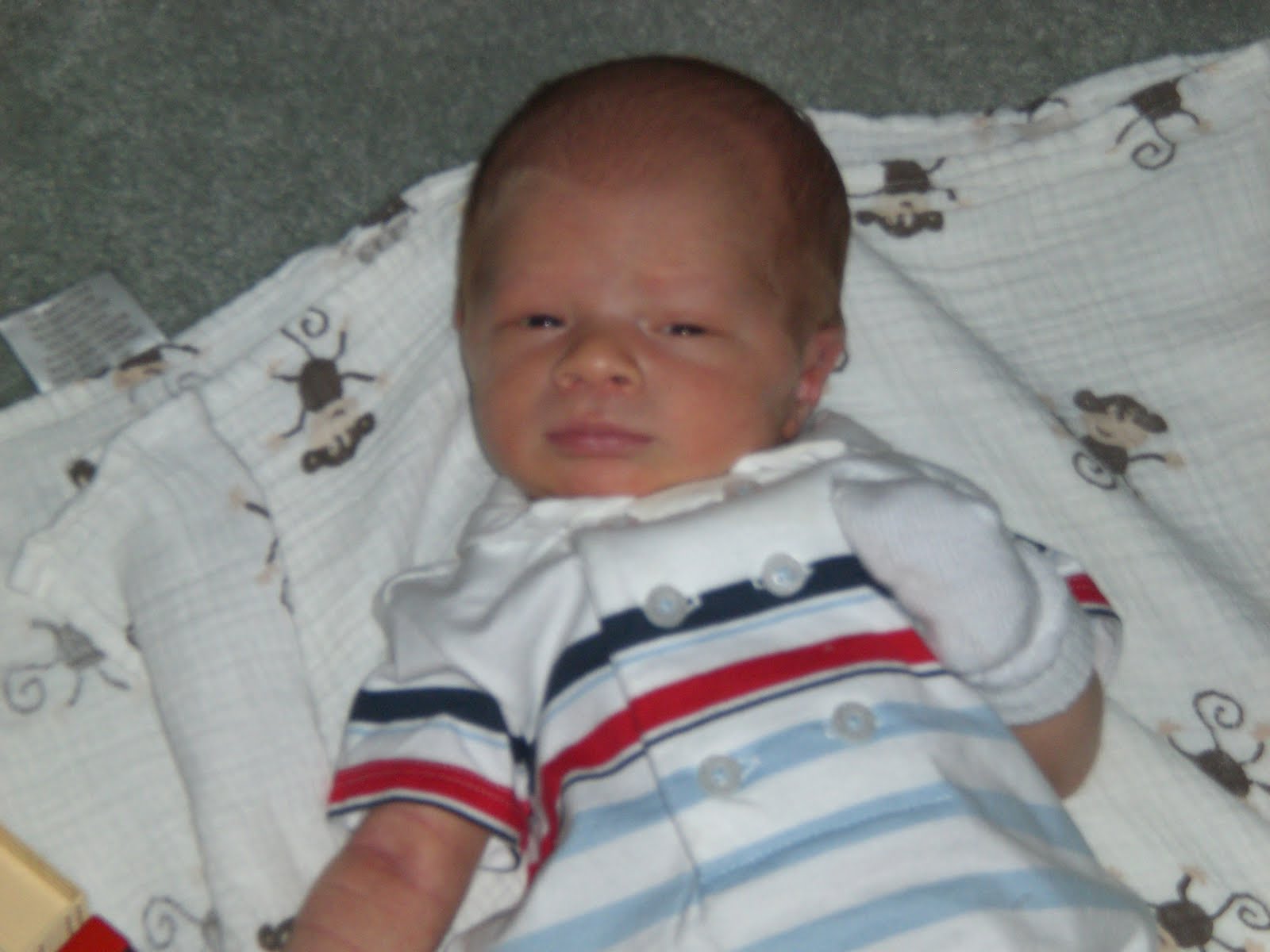 Mountain Musings Grand Baby Boy Hudson 1 Week Old