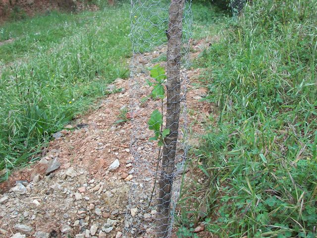 [Rota+do+Carteiro+089.jpg]