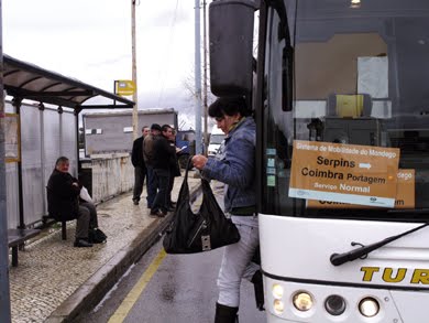 [autocarroramal.jpg]