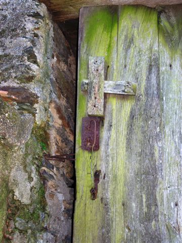 [Porta+com+carvelho.jpg]