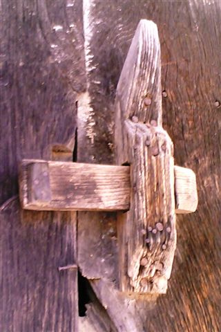 [Carvelho++em+porta.jpg]