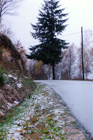 [Inverno+2008+(7).JPG]