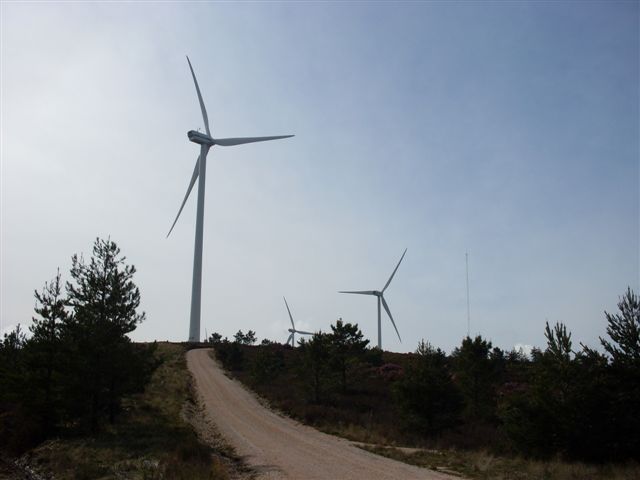 [Caminhada+UPFC+012.jpg]