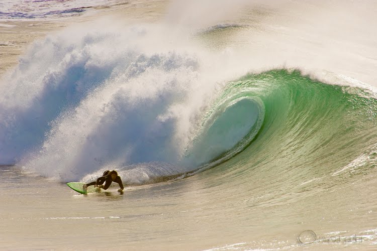 Double Wing Flyer Surfboard Design Modern Double Wing Swallow