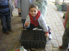 PLANTAMOS BELLOTAS