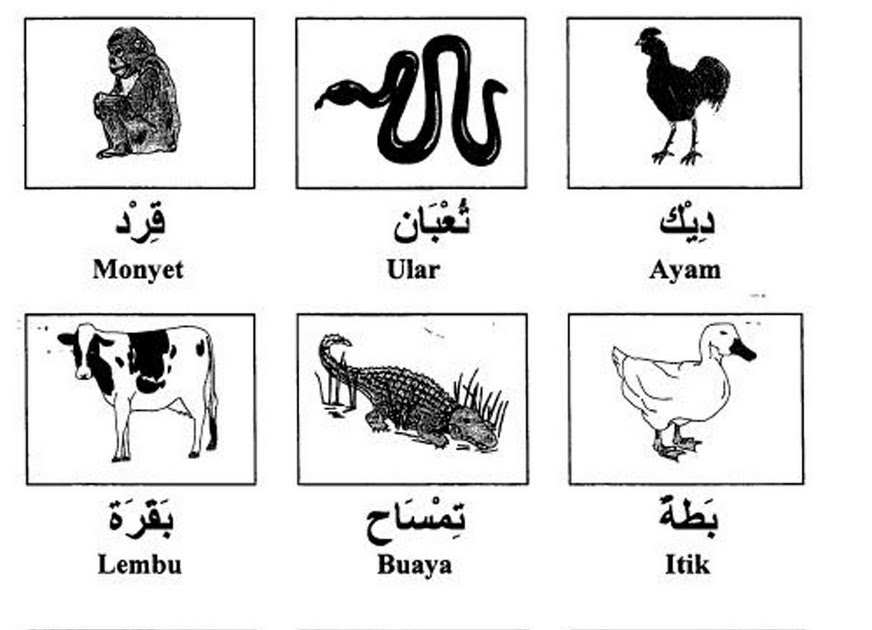 Itik dalam bahasa arab