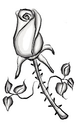 rose sketches pen sketch bamboo photoshop tablet