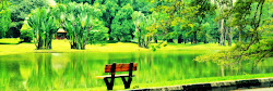 Lake Garden
