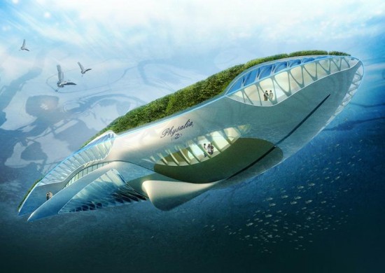 [physalia-550x390.jpg]