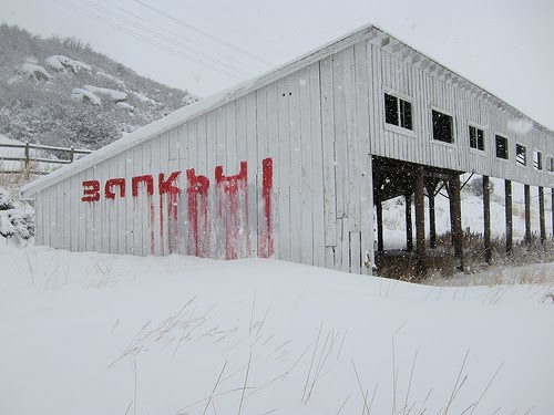 [4289437695_8b163909cd.jpg]