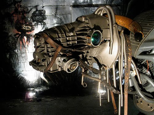 [3073332137_fe069485d3.jpg]