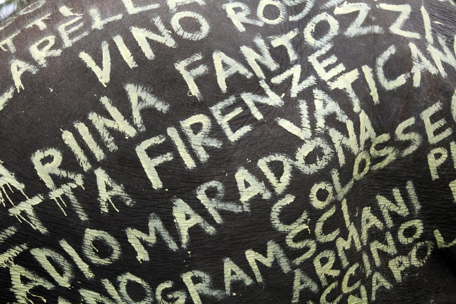 [filippo-minelli_elephant_srilanka_2.jpg]