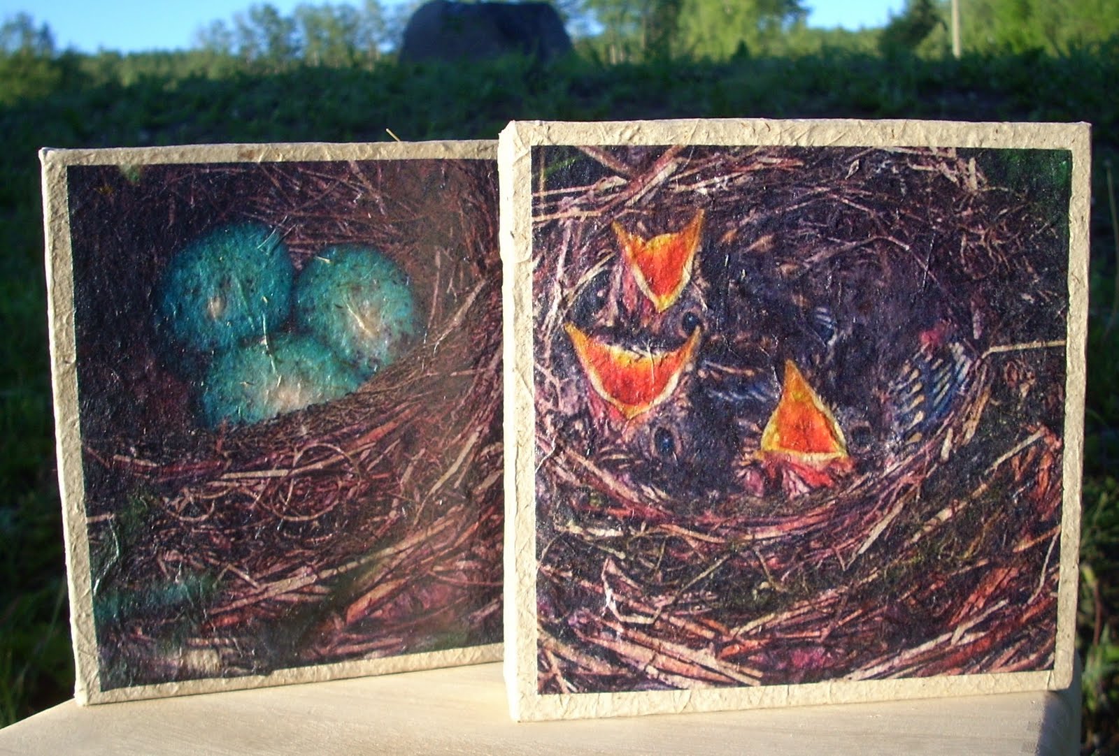 LizAnna's Studio Digital printing on handmade paper