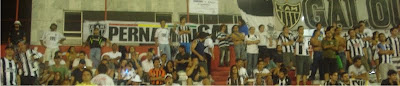 Pernambuco Made in Galo 7 - Pernambuco Made in Galo