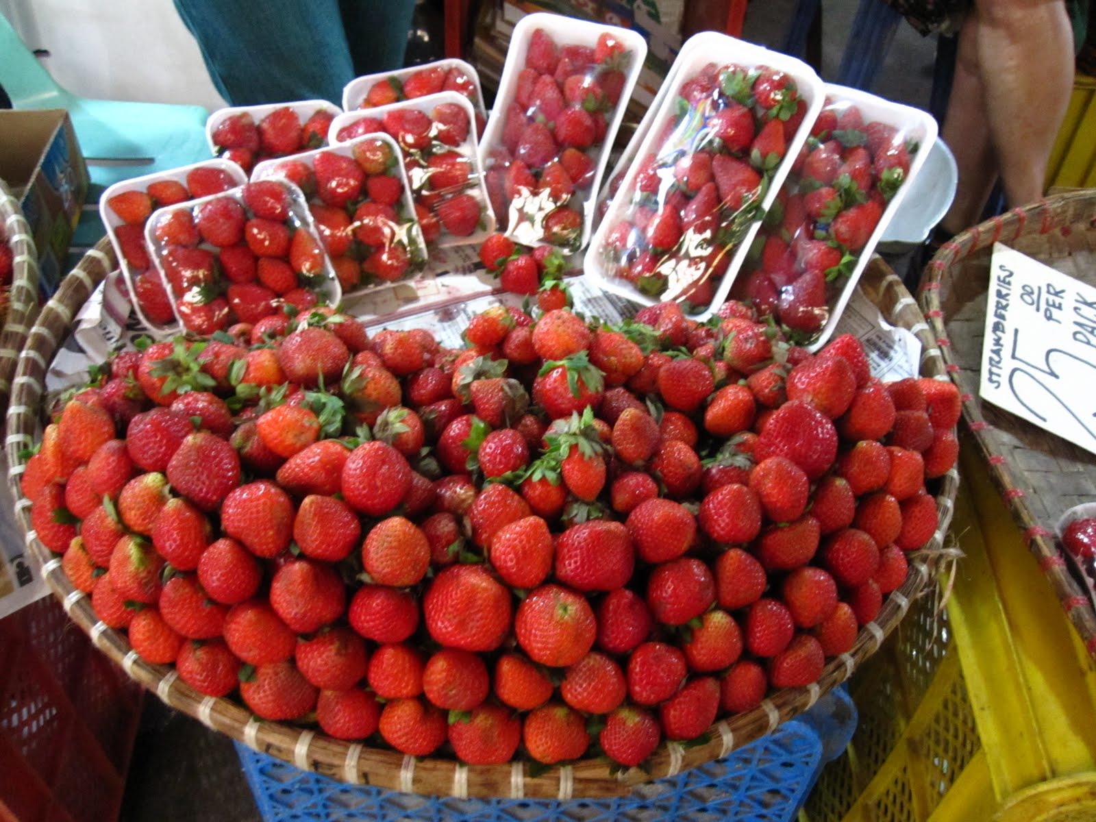 bloggingcaloy July 2010