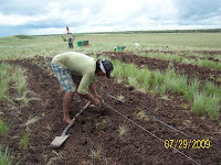 Planting in Vichada, Colombia