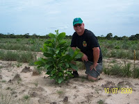 Dexter Dombro with 2 month old tropical tree
