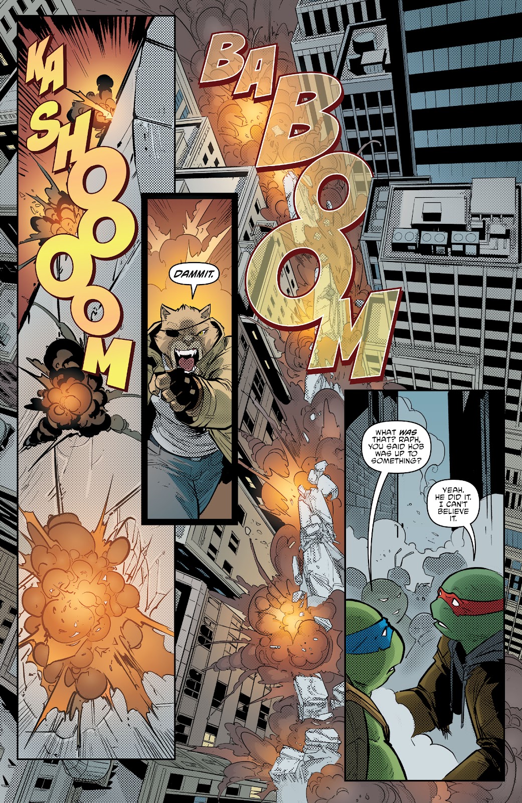 Teenage Mutant Ninja Turtles (2011) issue 138 - Page 17