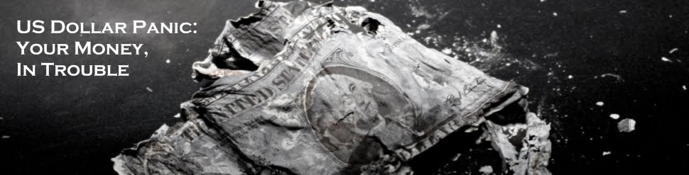 [us-dollar-panic-logo.jpg]