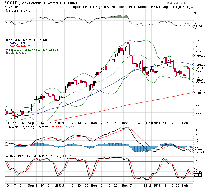 [Gold+D+7.02.2010.png]