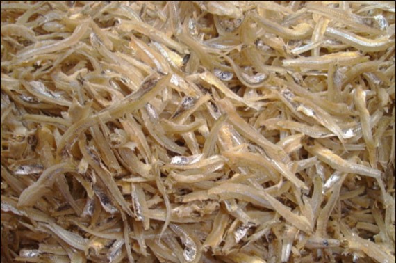 IKAN BILIS | Taste Of Tapah