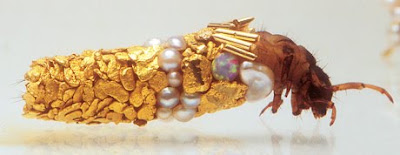 art&insects: Hubert Duprat
