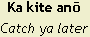Ka kite anō - Catch ya later