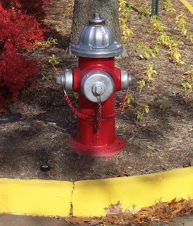 Red Fire Hydrant in Fairfax, Virginia