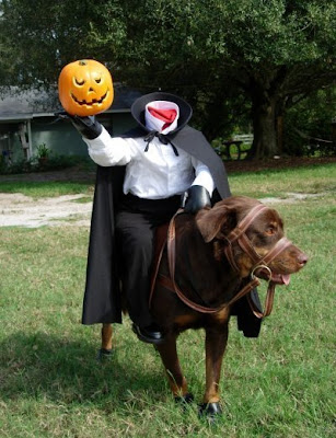 Headless Horseman Dog Halloween Costume!
