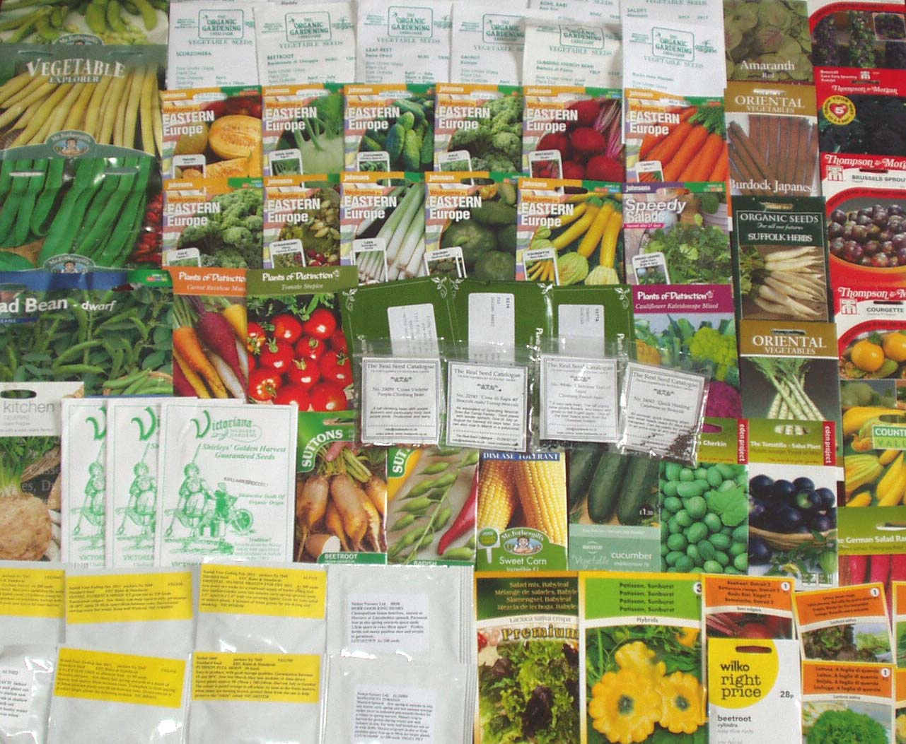 littleblackfox Sowing The Seeds of Destruction (and radishes)