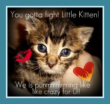 [Little+kittycaptjack.jpg]