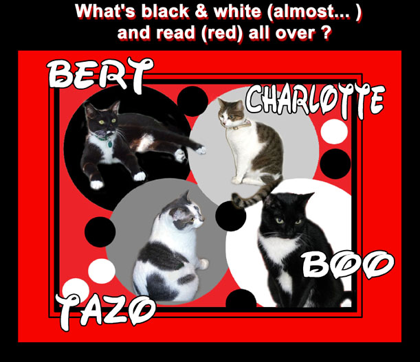 [The+Sunday+News.jpg]