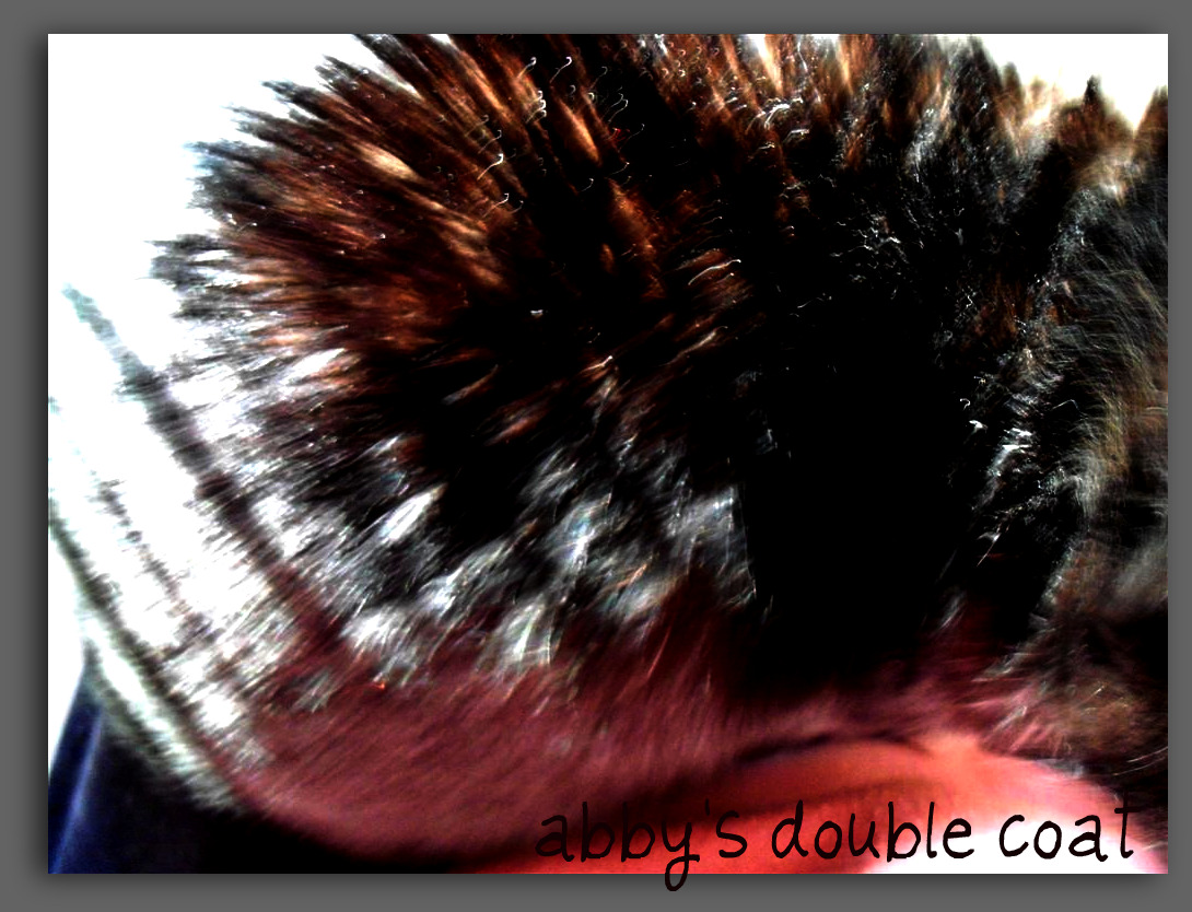 [EBAY+3039+(Large)a.jpg]