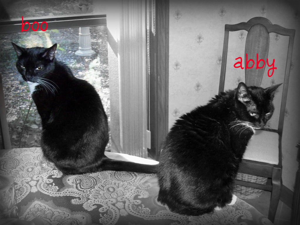 [EBAY+2500+(Large)b.jpg]