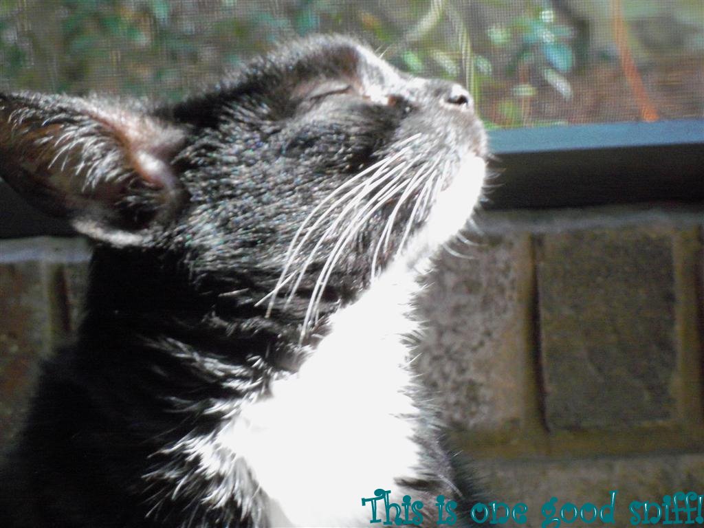 [100_3600+(Large).JPG]