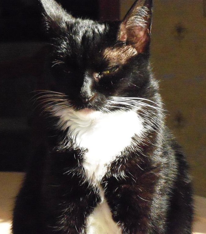 [EBAY+1807+(Large).jpg]