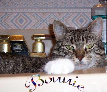 [bonnieunderfoot.jpg]