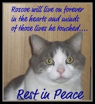 [Roscoe-RestInPeace.jpg]