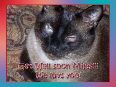 [getwellsoonmiles.jpg]