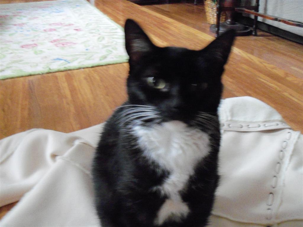 [EBAY+2223+(Large).jpg]