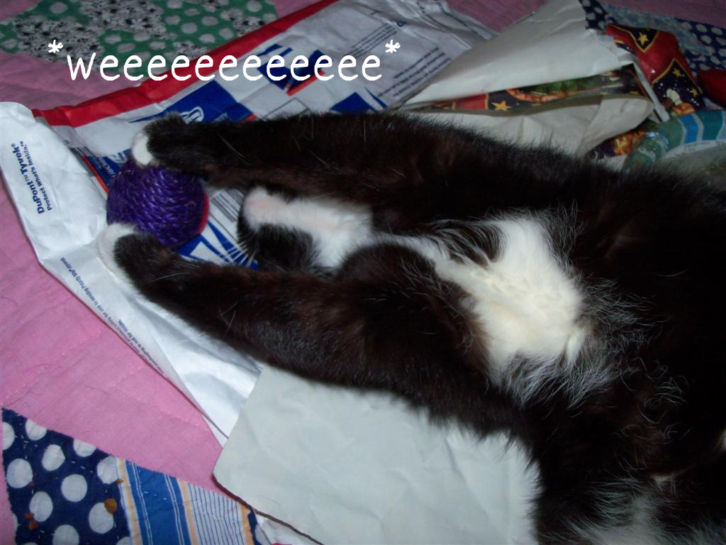 [EBAY+2325+(Large)a.jpg]