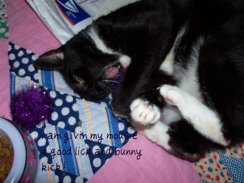 [EBAY+2327+(Large)a.jpg]