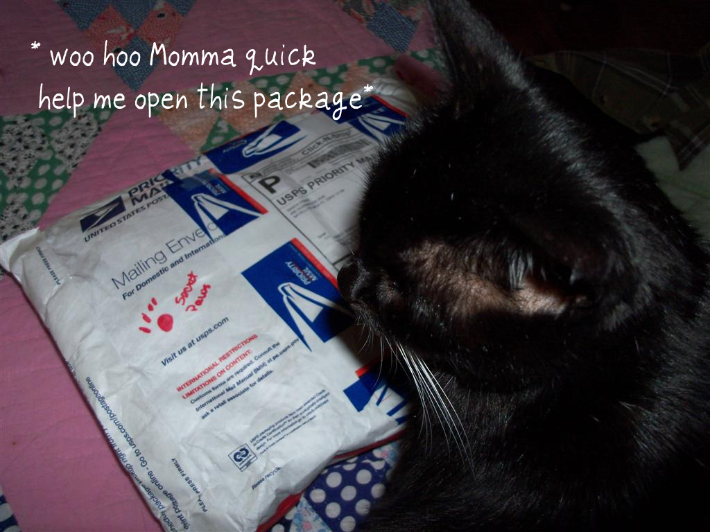 [EBAY+2299+(Large)a.jpg]