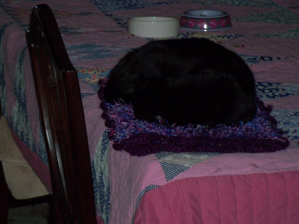 [EBAY+2357+(Large).jpg]