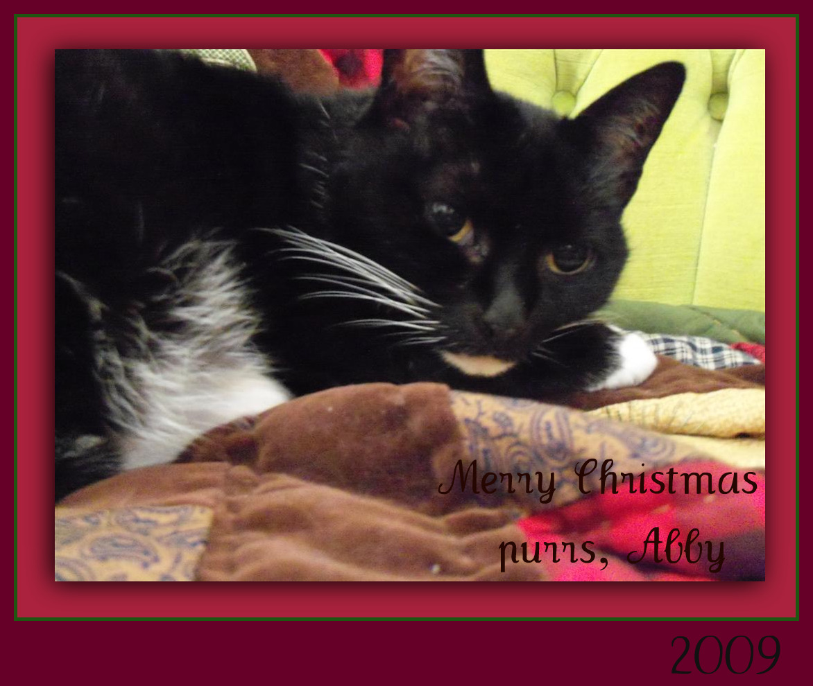 [EBAY+1844+(Large)+(2)ab.jpg]