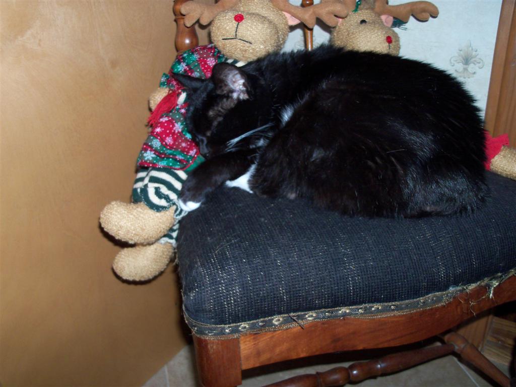 [EBAY+2493+(Large).jpg]